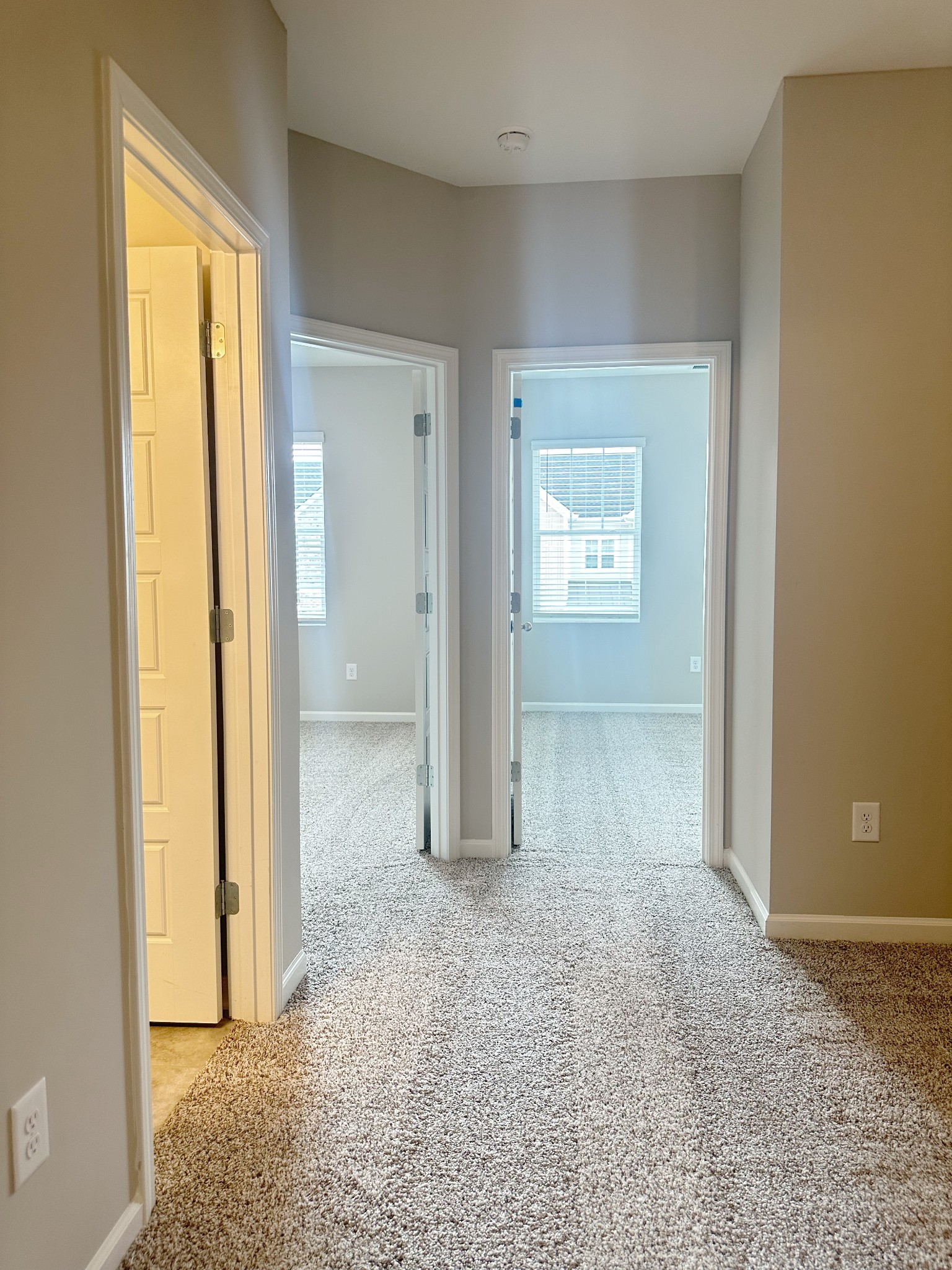 302 Carver Connection Lebanon, TN 37087 - Photo 41 of 43 an empty room with windows and closet
