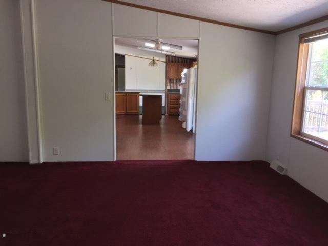 4650 East Hansen Road Custer, MI 49405 - Photo 8 of 31 IMG_0217
