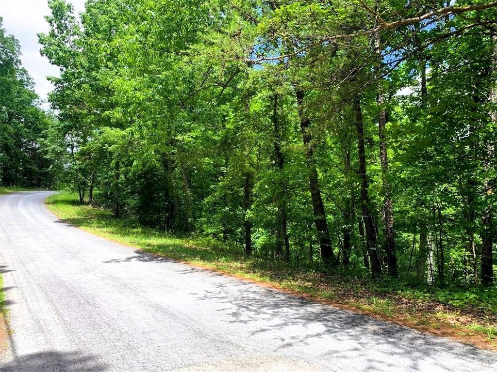 100 Adair Drive Ranger, GA 30734 - Photo 2 of 5 a view of a yard with plants and trees