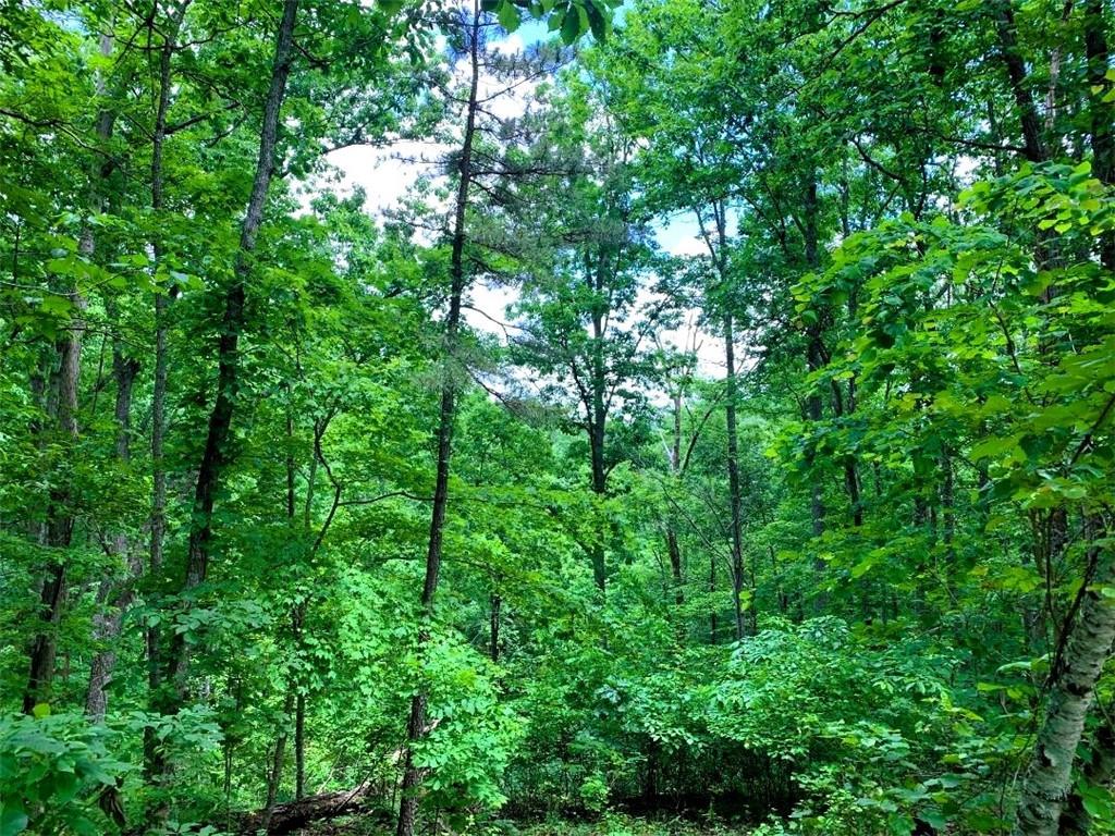 100 Adair Drive Ranger, GA 30734 - Photo 4 of 5 a view of a lush green forest