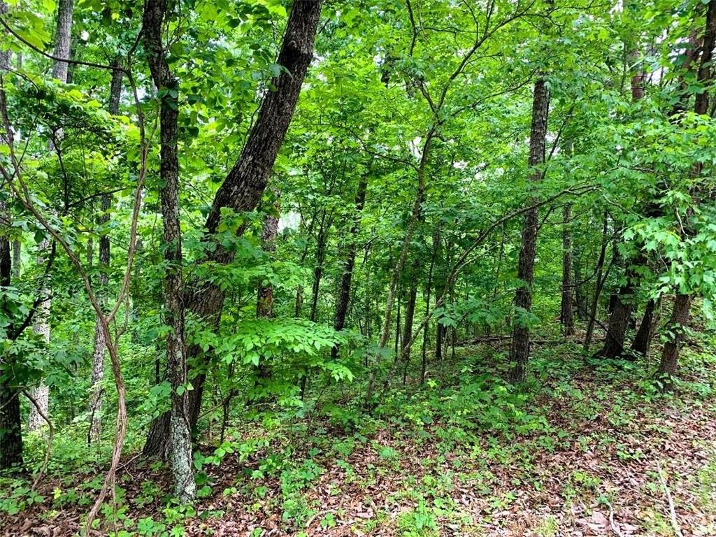 100 Adair Drive Ranger, GA 30734 - Photo 5 of 5 a view of a lush green forest