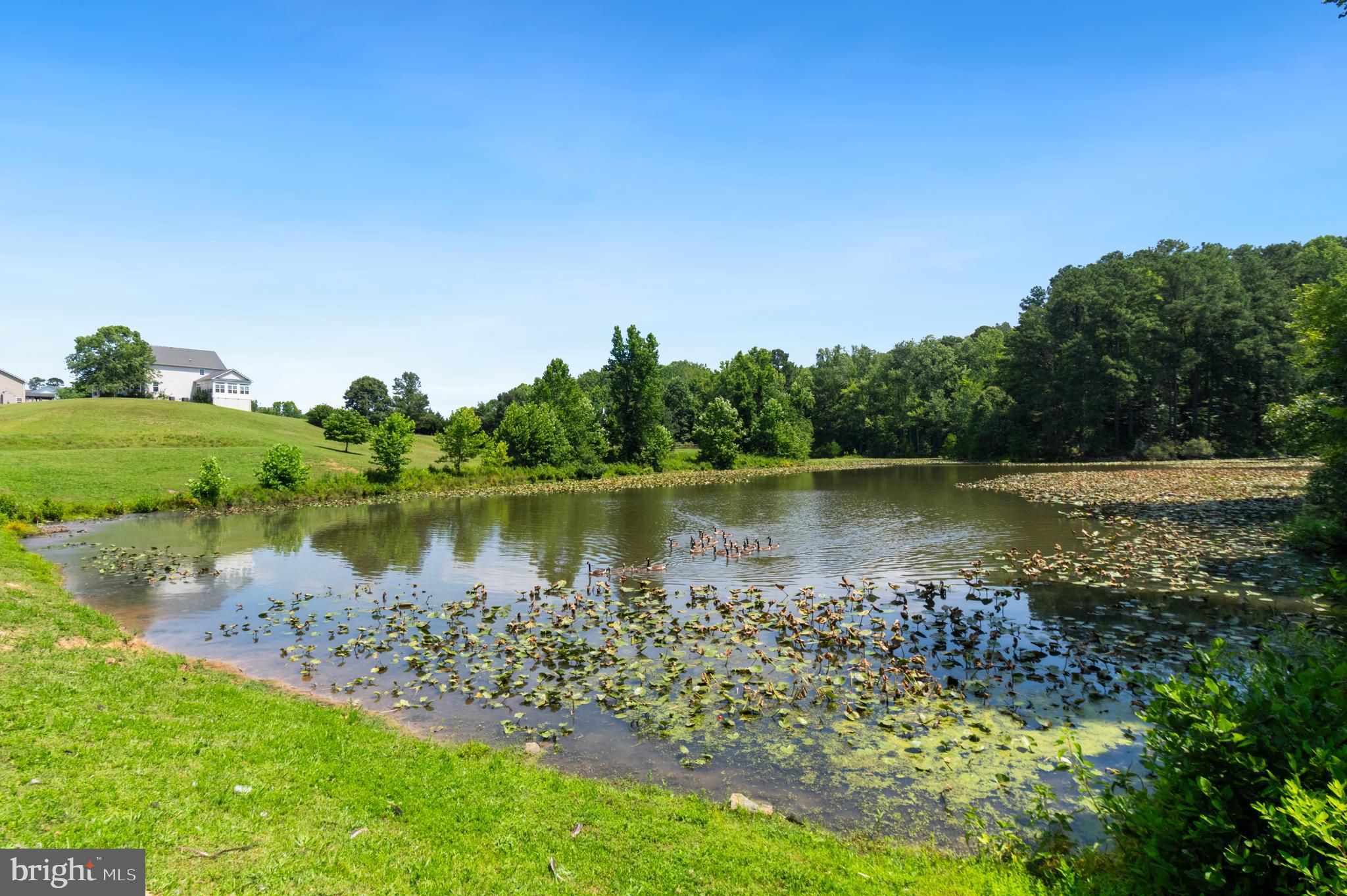 3188 Huntsman Drive Huntingtown, MD 20639 - Photo 77 of 98 a view of a lake with a big yard