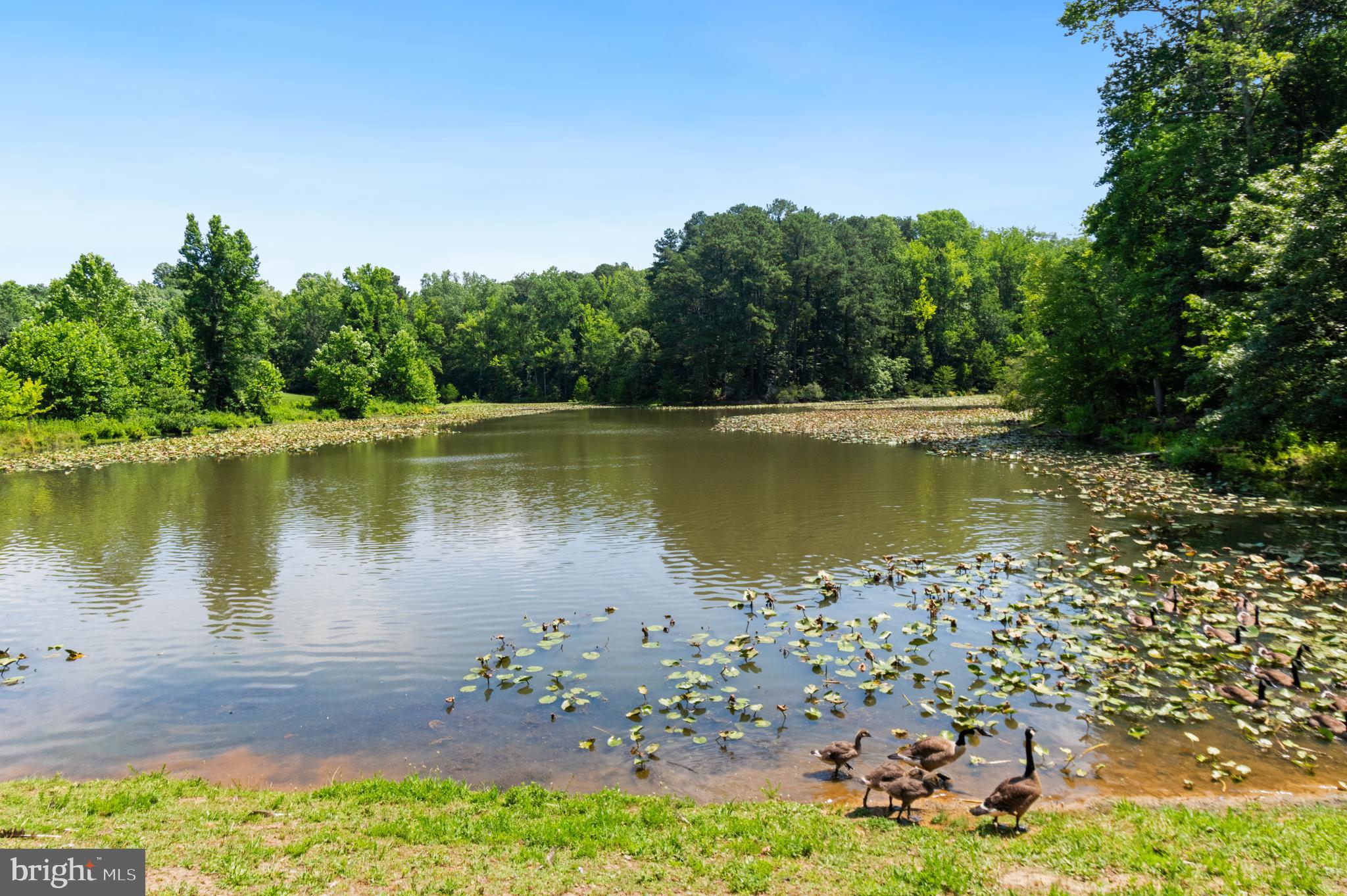 3188 Huntsman Drive Huntingtown, MD 20639 - Photo 78 of 98 a view of a lake with a yard