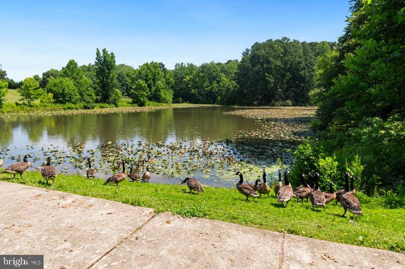 3188 Huntsman Drive Huntingtown, MD 20639 - Photo 79 of 98 a large body of water with a tree in the background