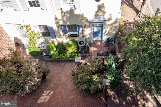 a park view with a tree