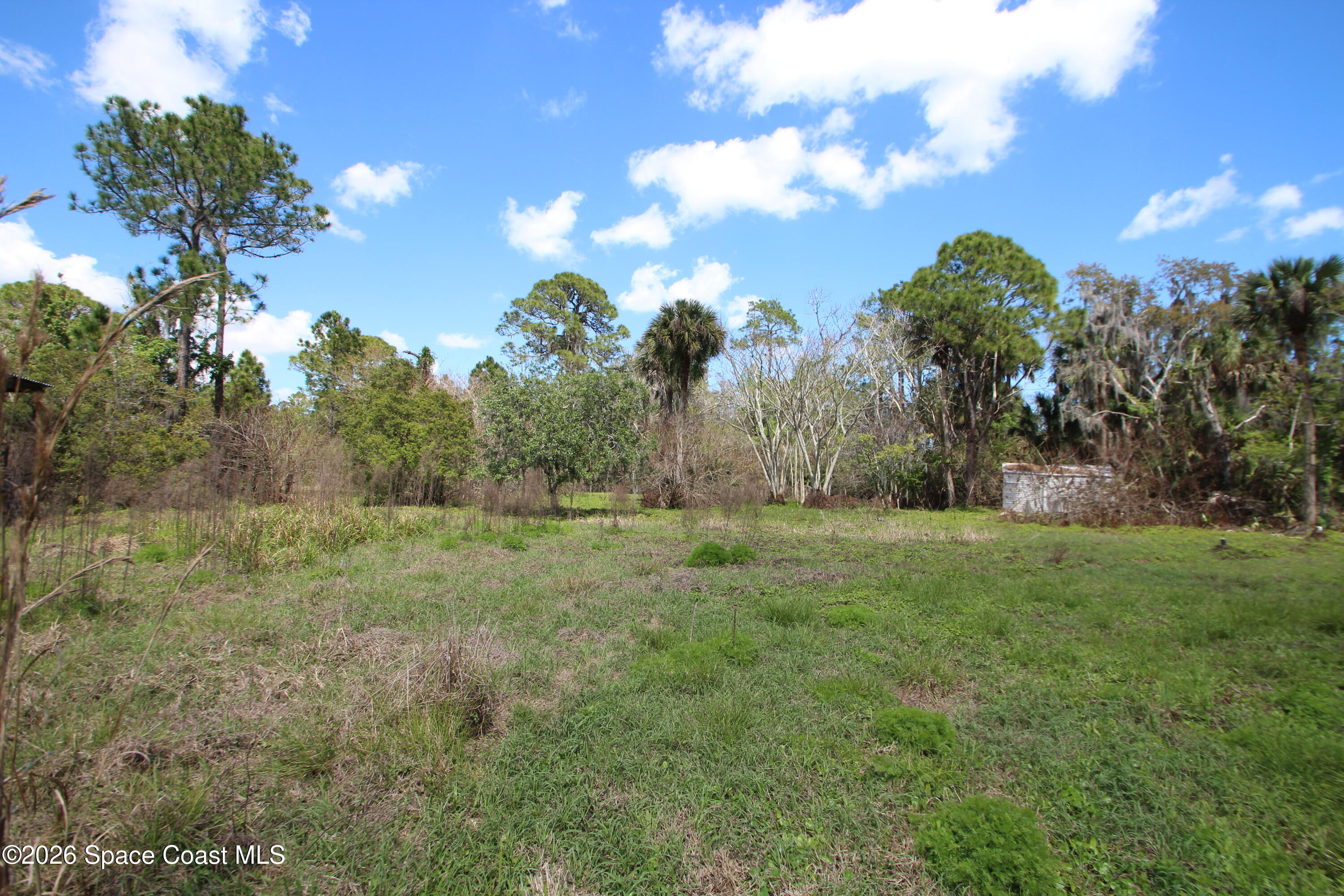 6480 Highway 46 Mims, FL 32754 - Photo 17 of 29 a view of a field with trees in the background