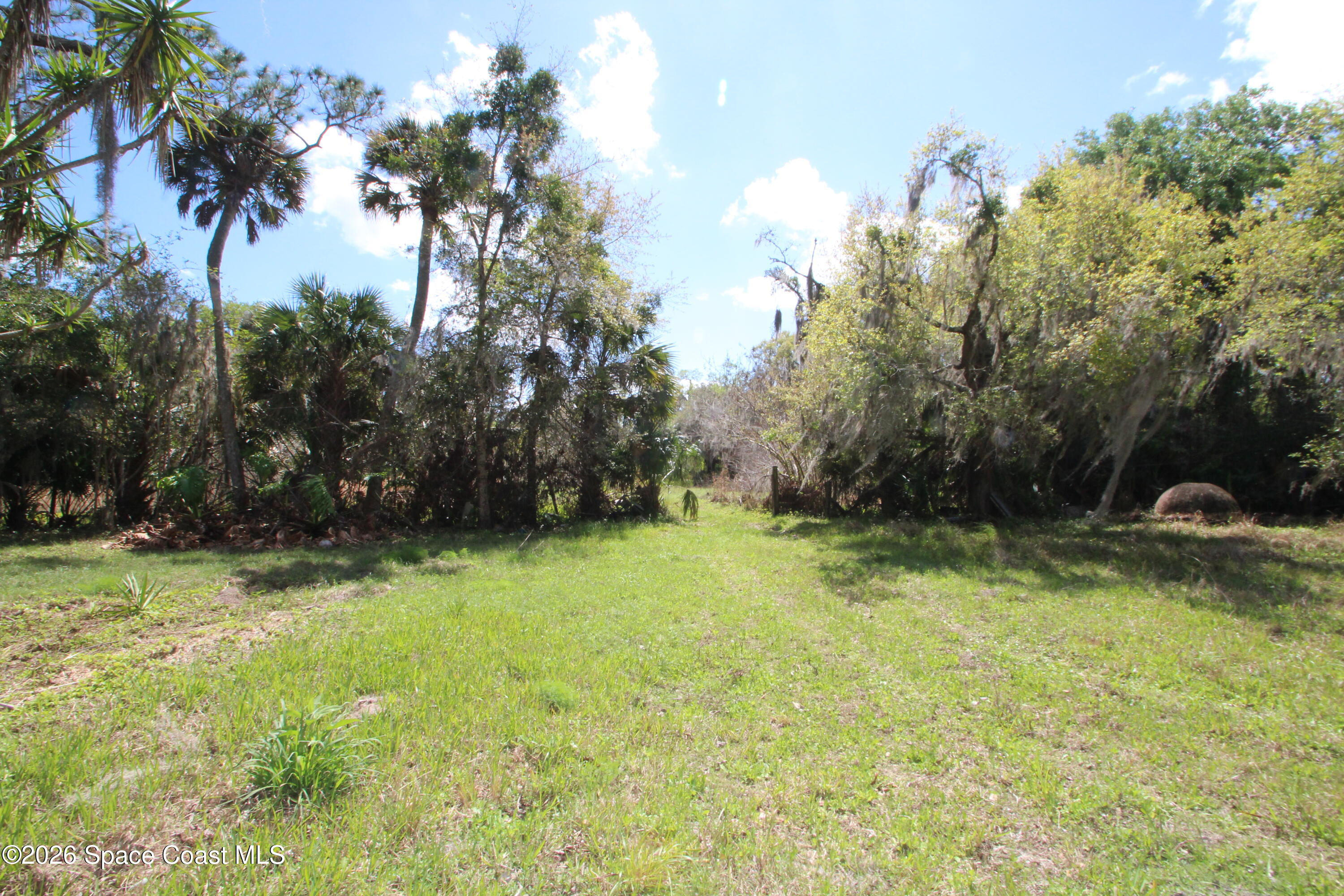 6480 Highway 46 Mims, FL 32754 - Photo 19 of 29 a backyard of a house with lots of green space