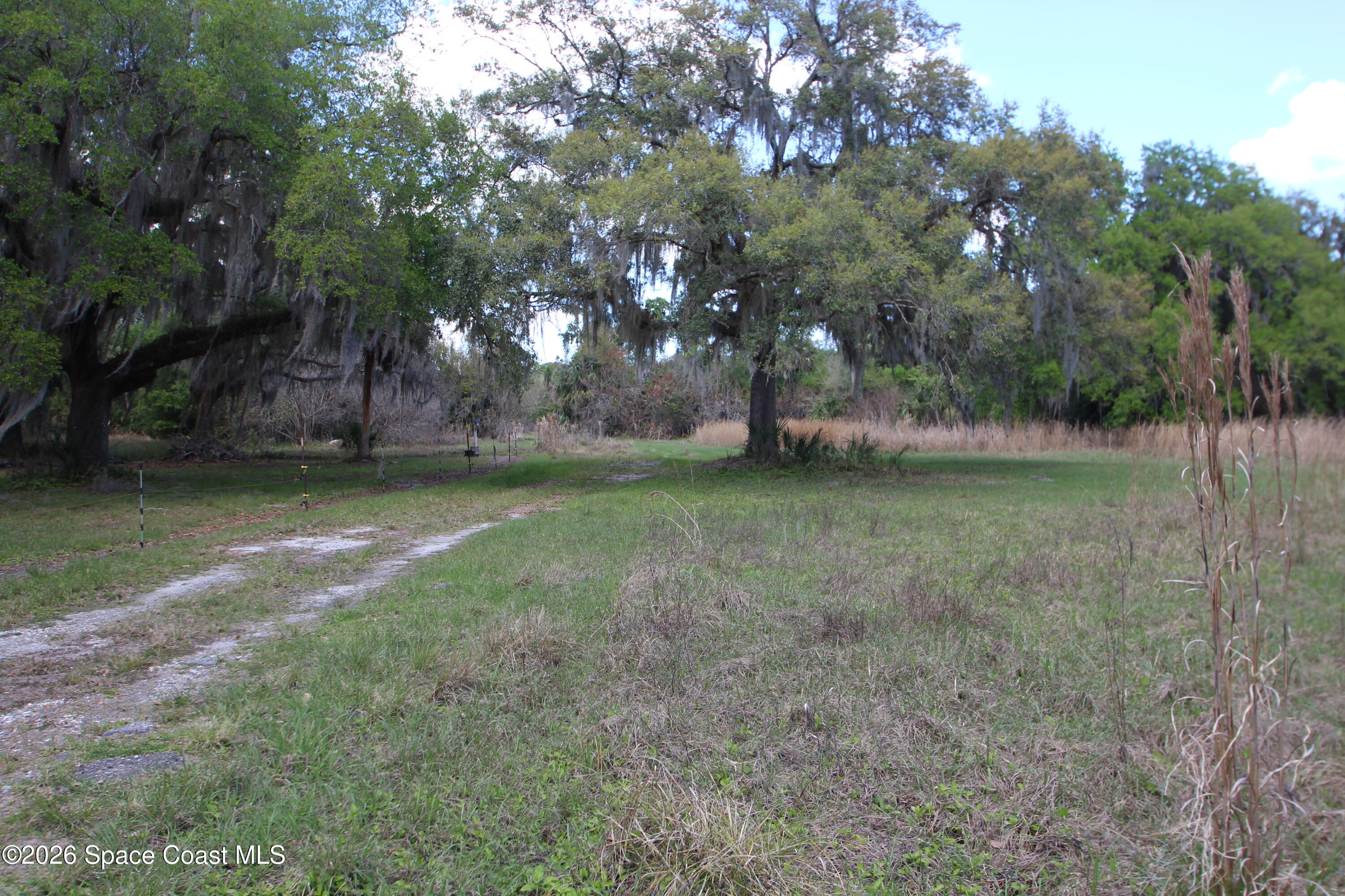 6480 Highway 46 Mims, FL 32754 - Photo 20 of 29 a view of a yard with a tree