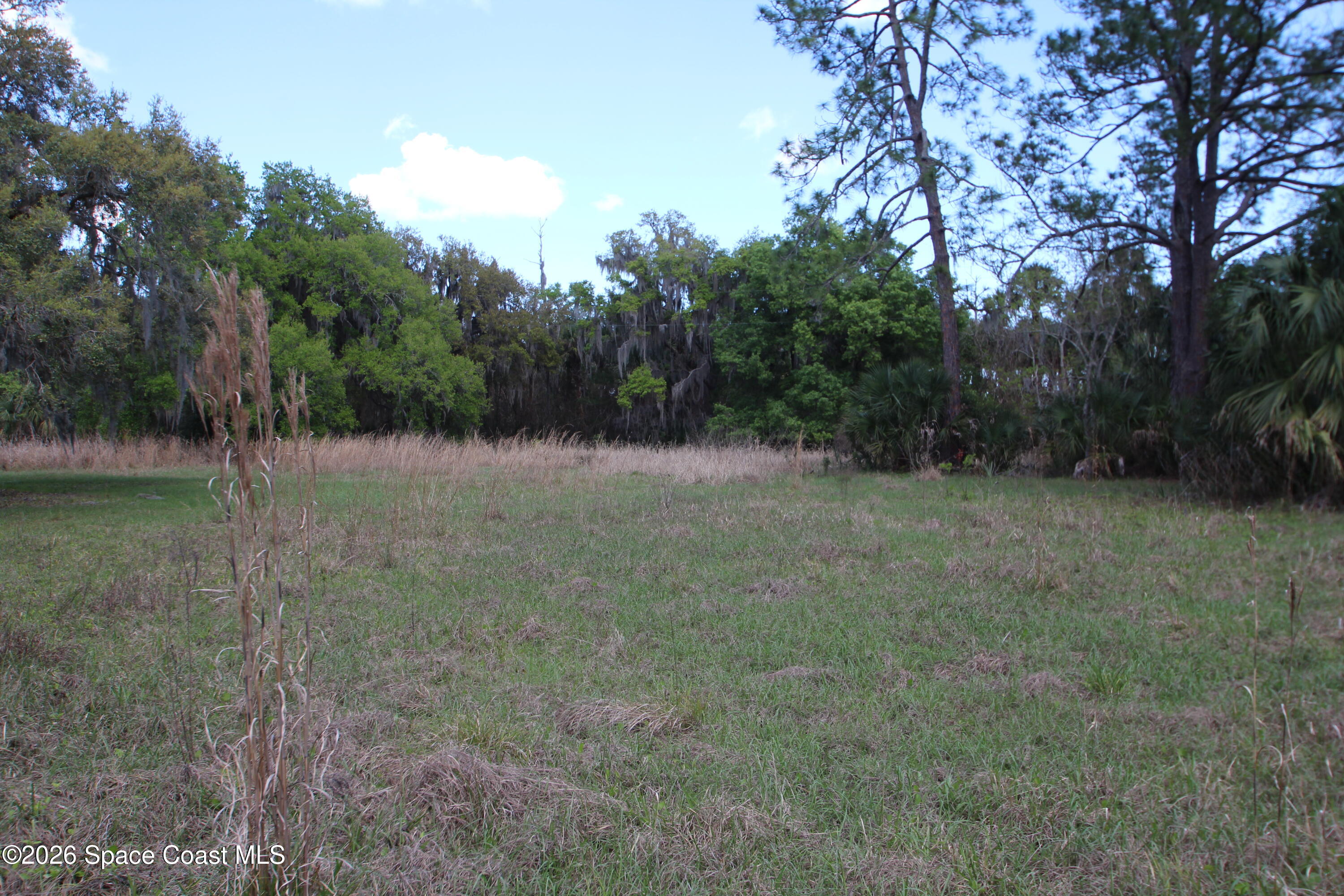 6480 Highway 46 Mims, FL 32754 - Photo 21 of 29 a view of outdoor space and yard