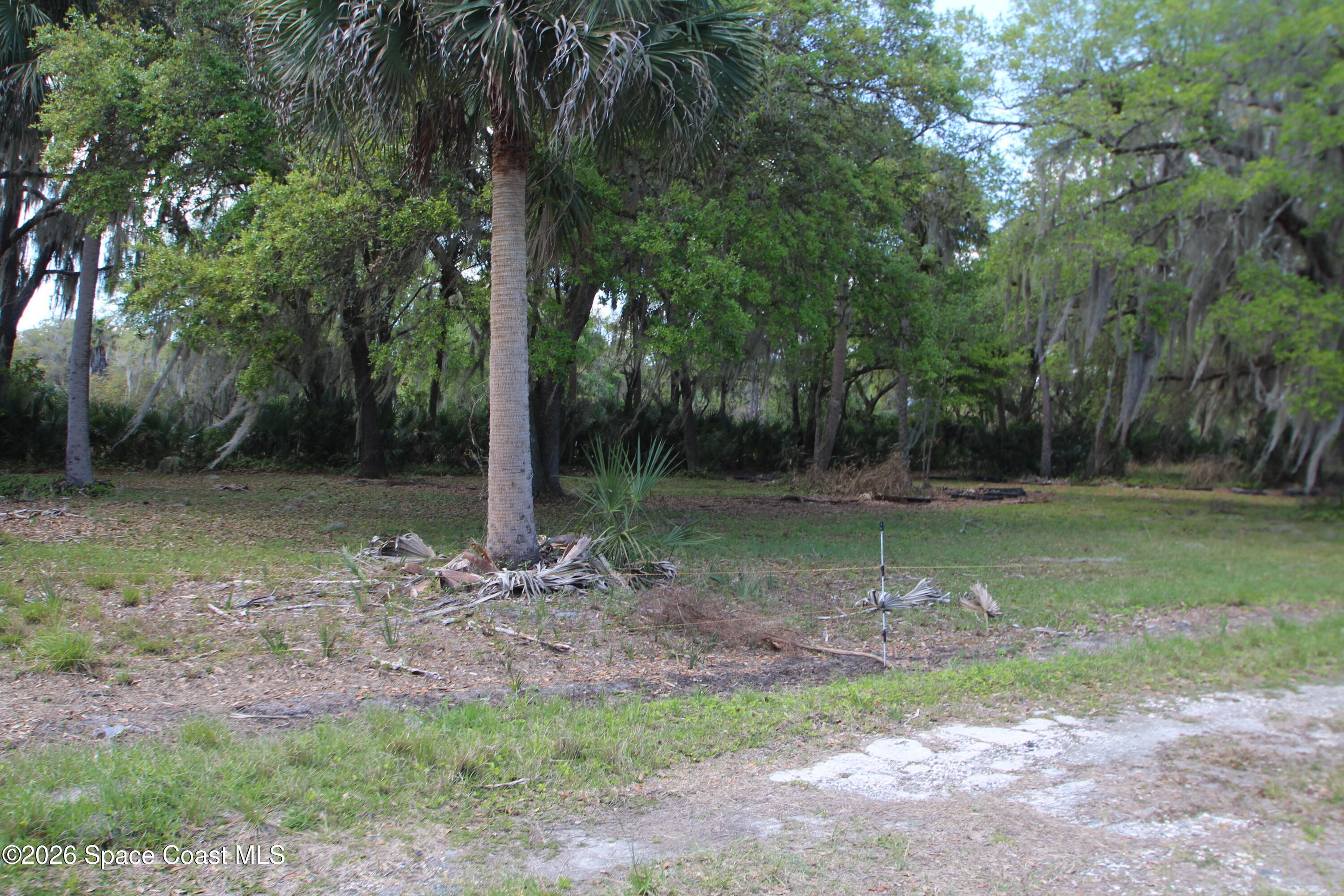 6480 Highway 46 Mims, FL 32754 - Photo 22 of 29 a backyard of a house with lots of green space