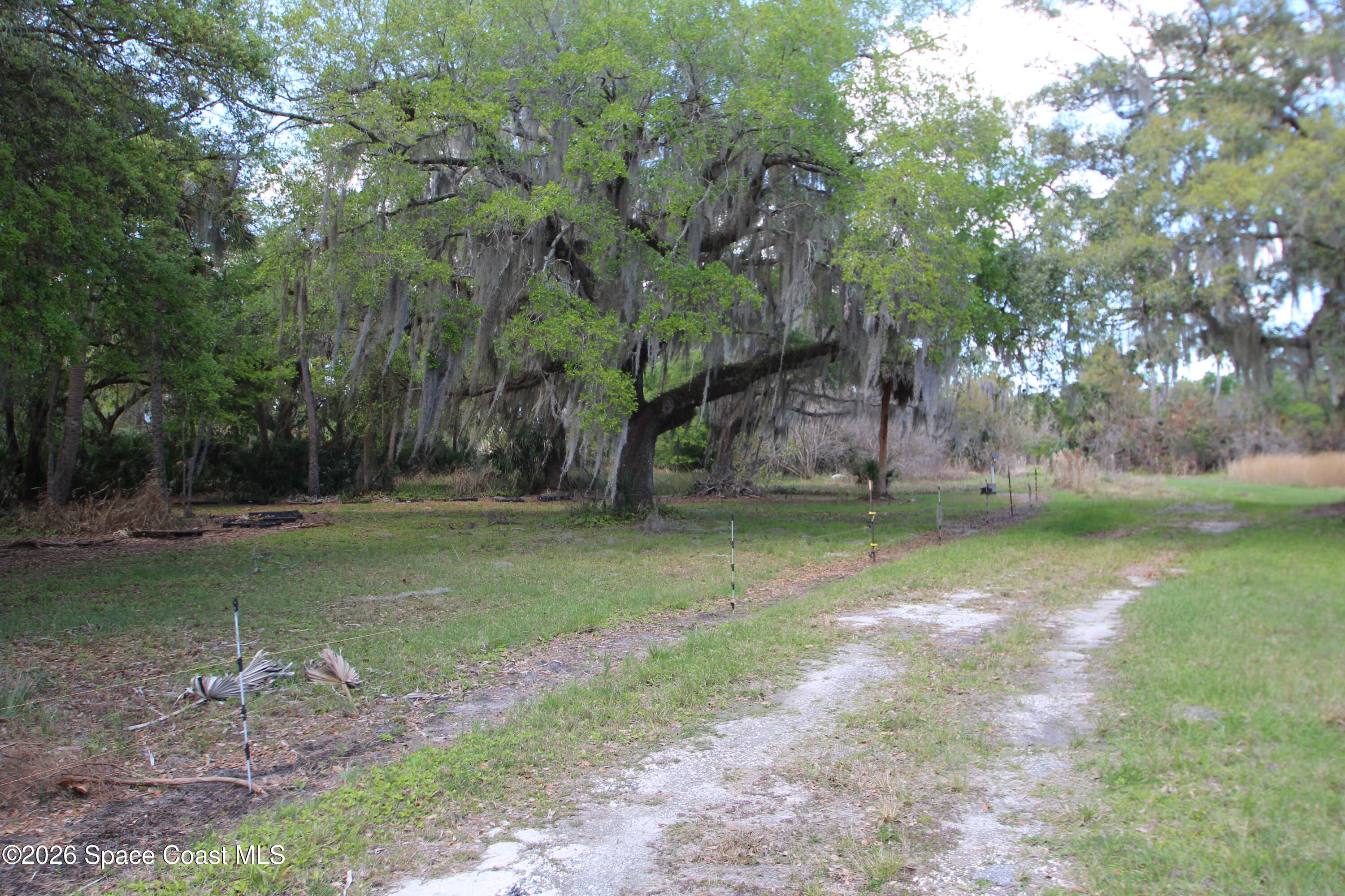 6480 Highway 46 Mims, FL 32754 - Photo 23 of 29 a backyard of a house with lots of green space