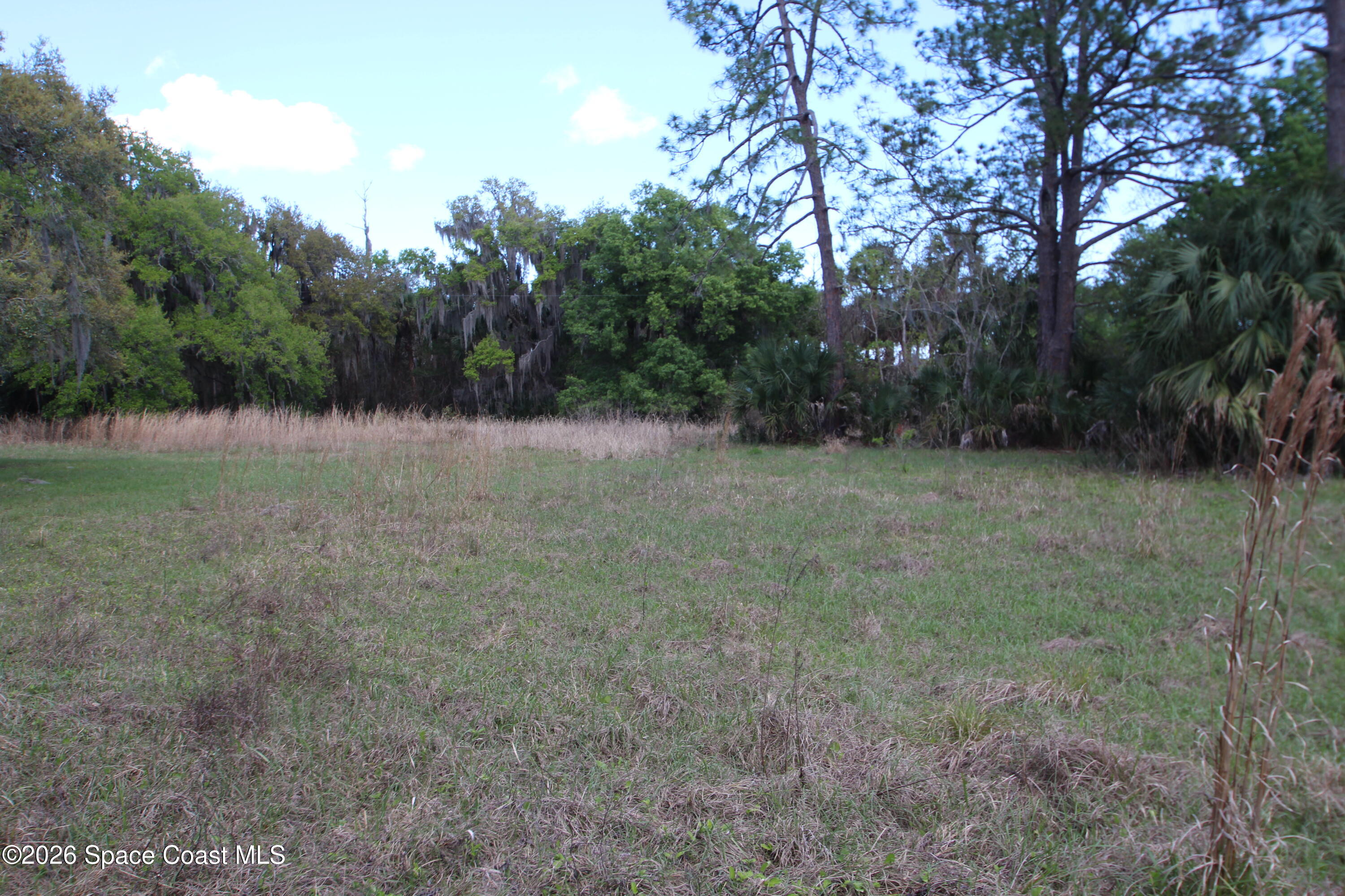 6480 Highway 46 Mims, FL 32754 - Photo 24 of 29 a view of outdoor space with trees all around