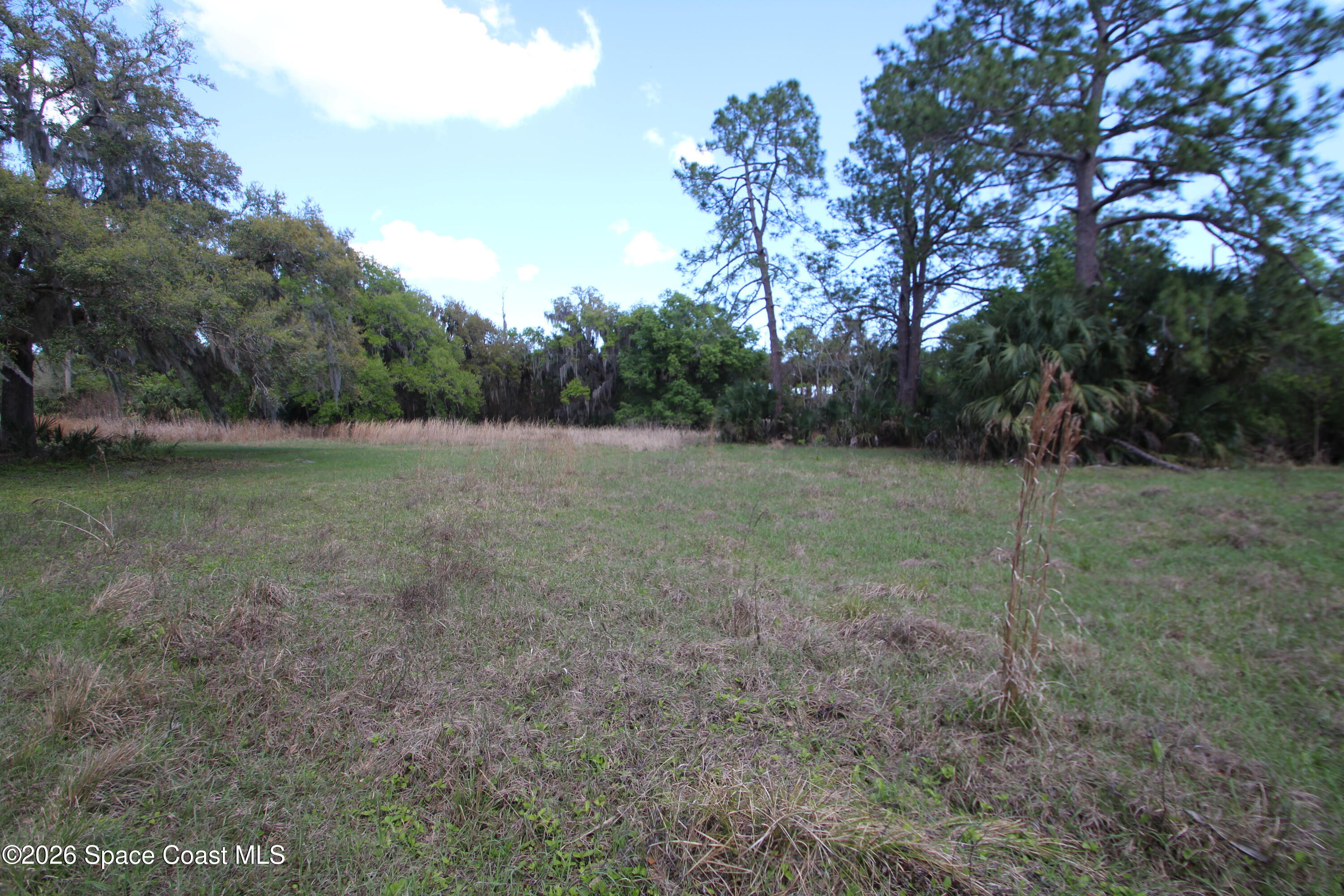 6480 Highway 46 Mims, FL 32754 - Photo 25 of 29 a view of outdoor space with trees