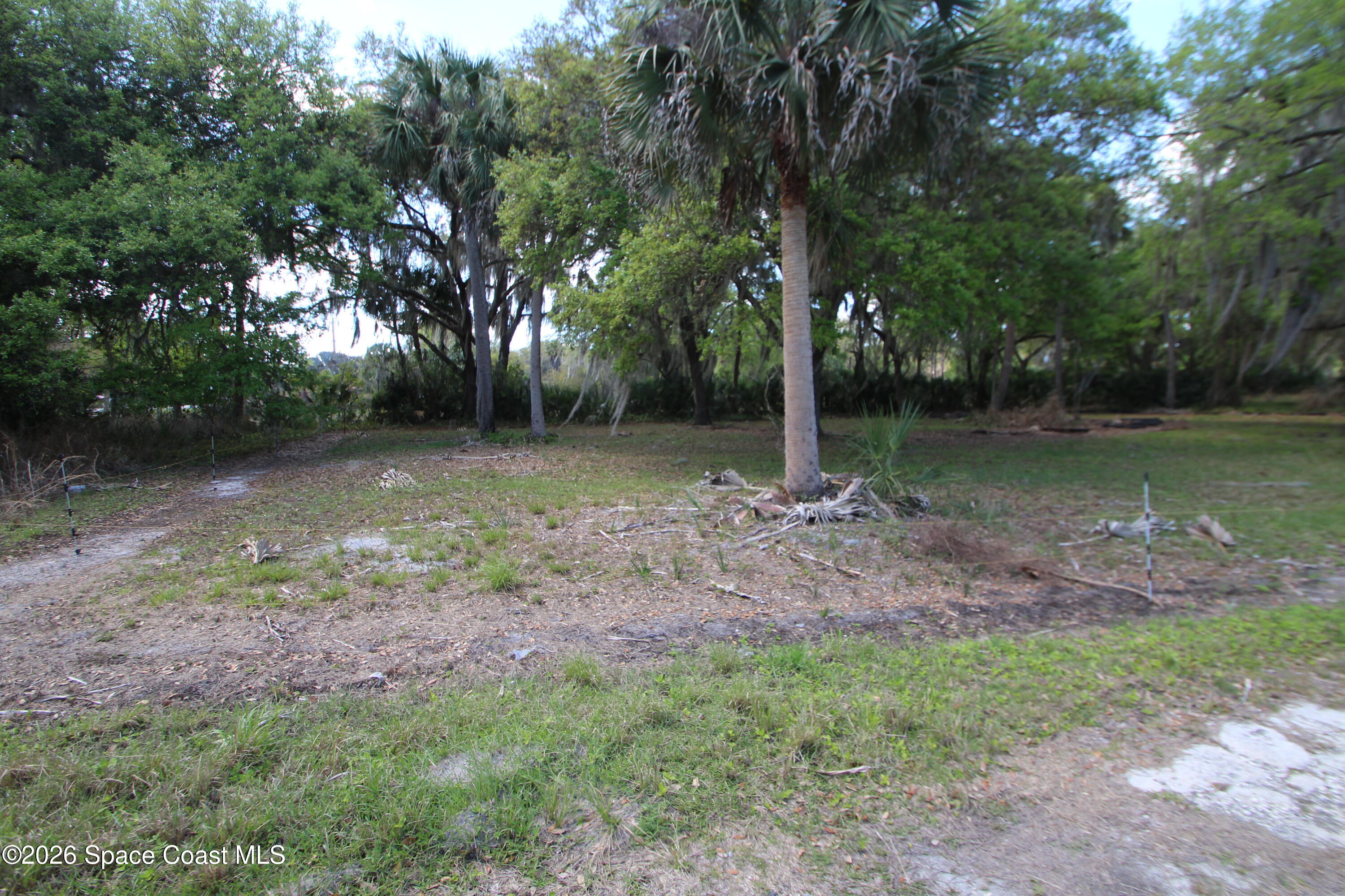 6480 Highway 46 Mims, FL 32754 - Photo 26 of 29 a backyard of a house with lots of green space