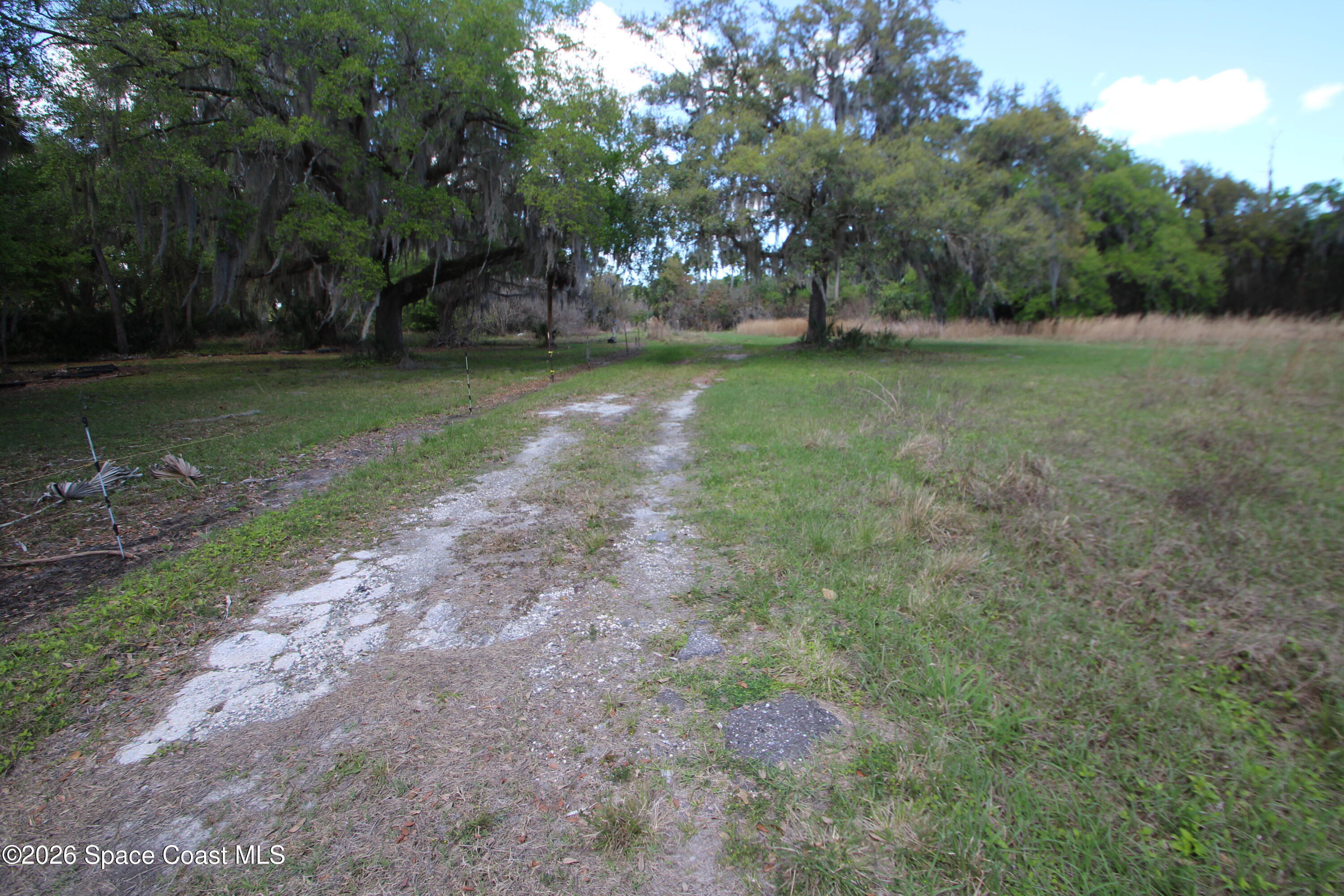 6480 Highway 46 Mims, FL 32754 - Photo 27 of 29 a view of a field with a tree in the background