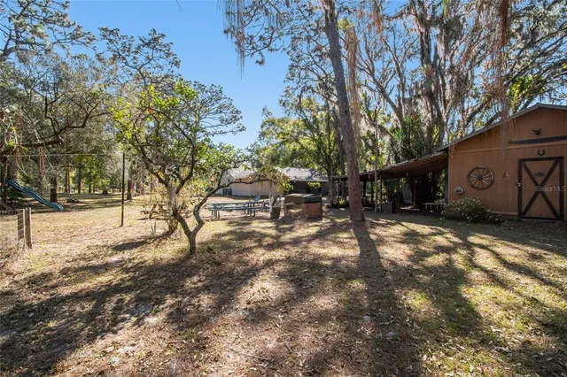 a bedroom with furniture and a potted plant
