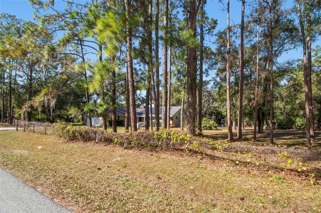 a spacious bedroom with a bed and a flat tv screen on dresser