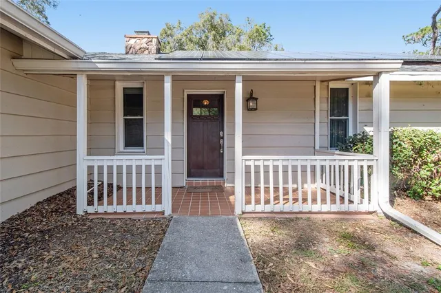 a view of a yard with plants and large trees