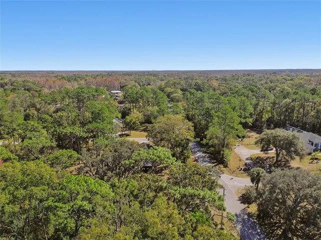 $615,000 | 17641 Deerfield Drive, Lutz, FL 33558