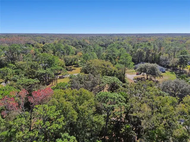 $615,000 | 17641 Deerfield Drive, Lutz, FL 33558