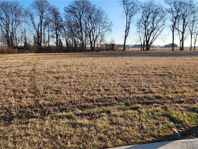 $95,000 | 150 Cypress Branch Road, Sikeston, MO 63801