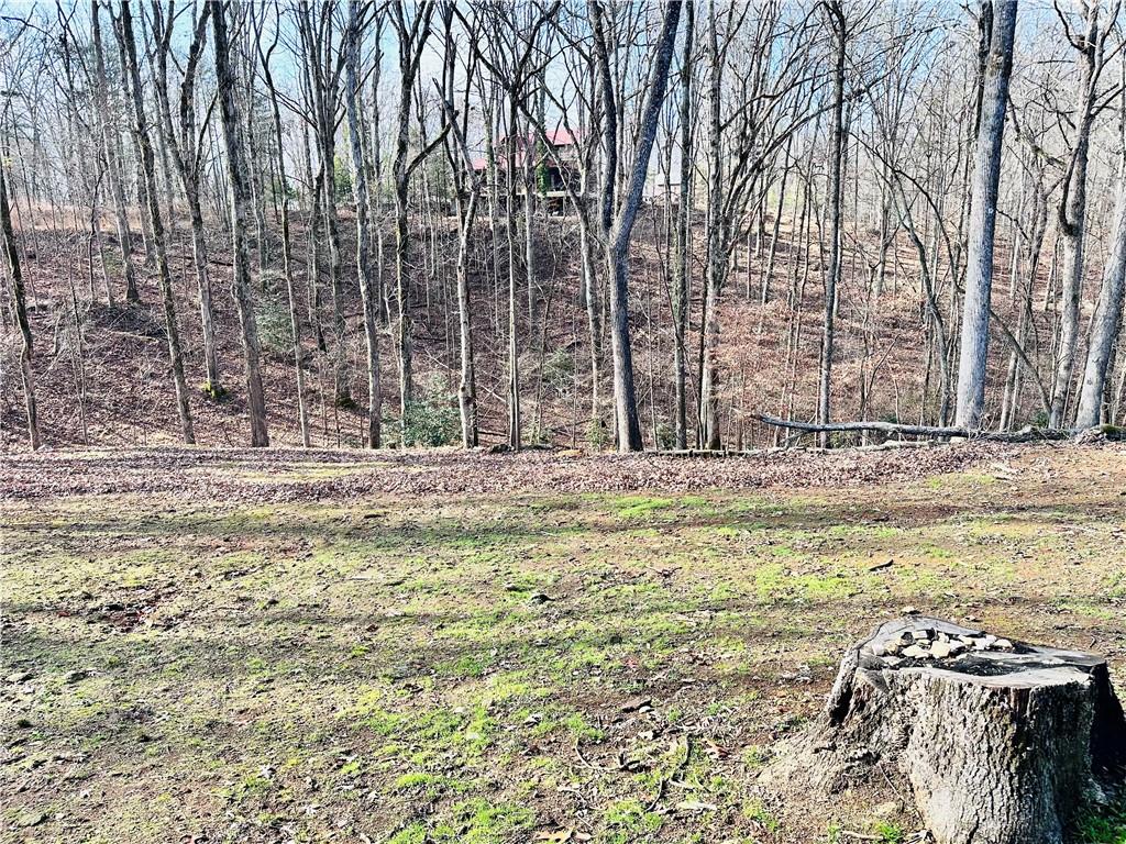 6134 Grant Ford Road Gainesville, GA 30506 - Photo 11 of 21