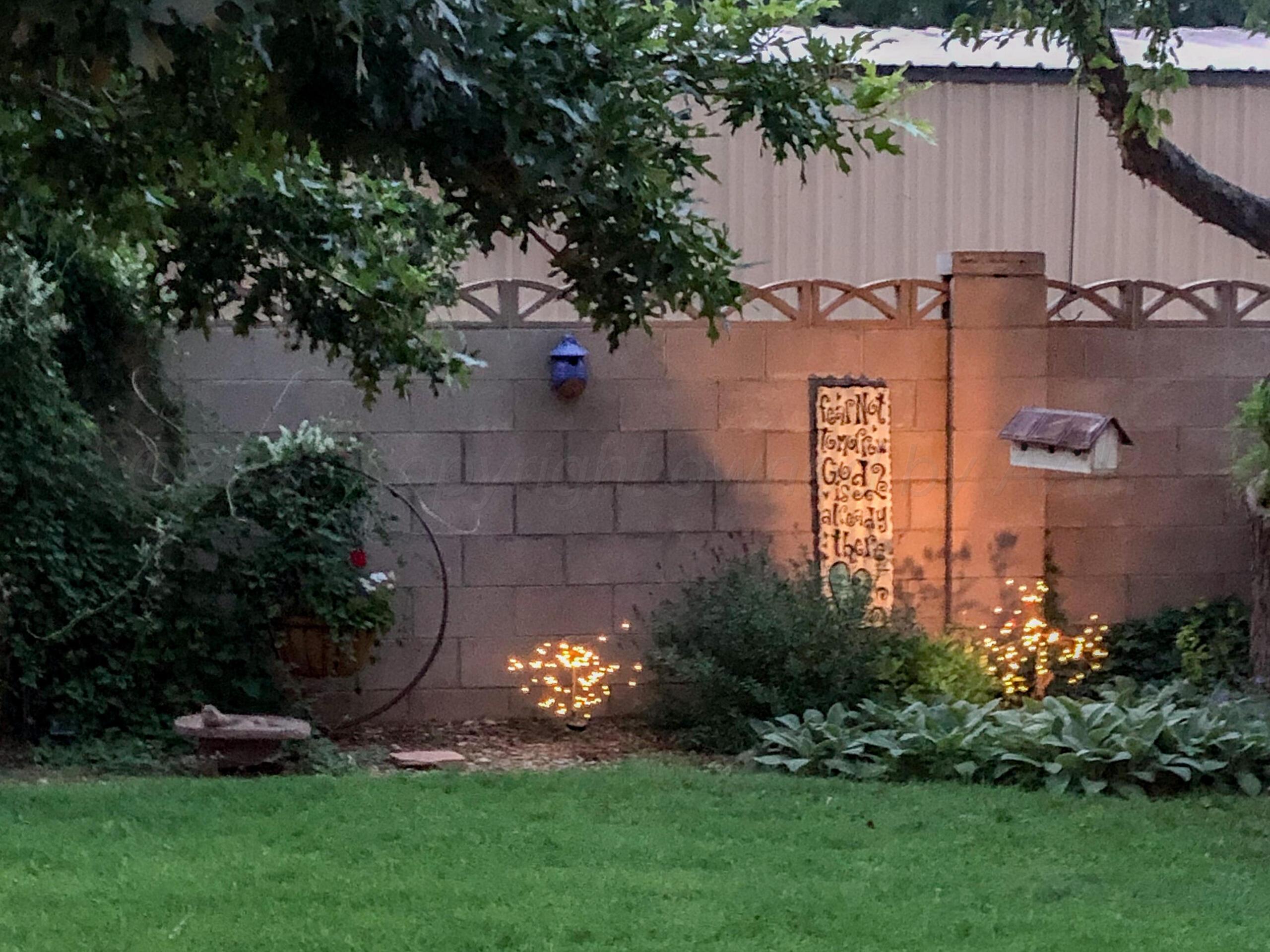 1007 Ave P Sunray, TX 79086 - Photo 39 of 42 Summer Backyard