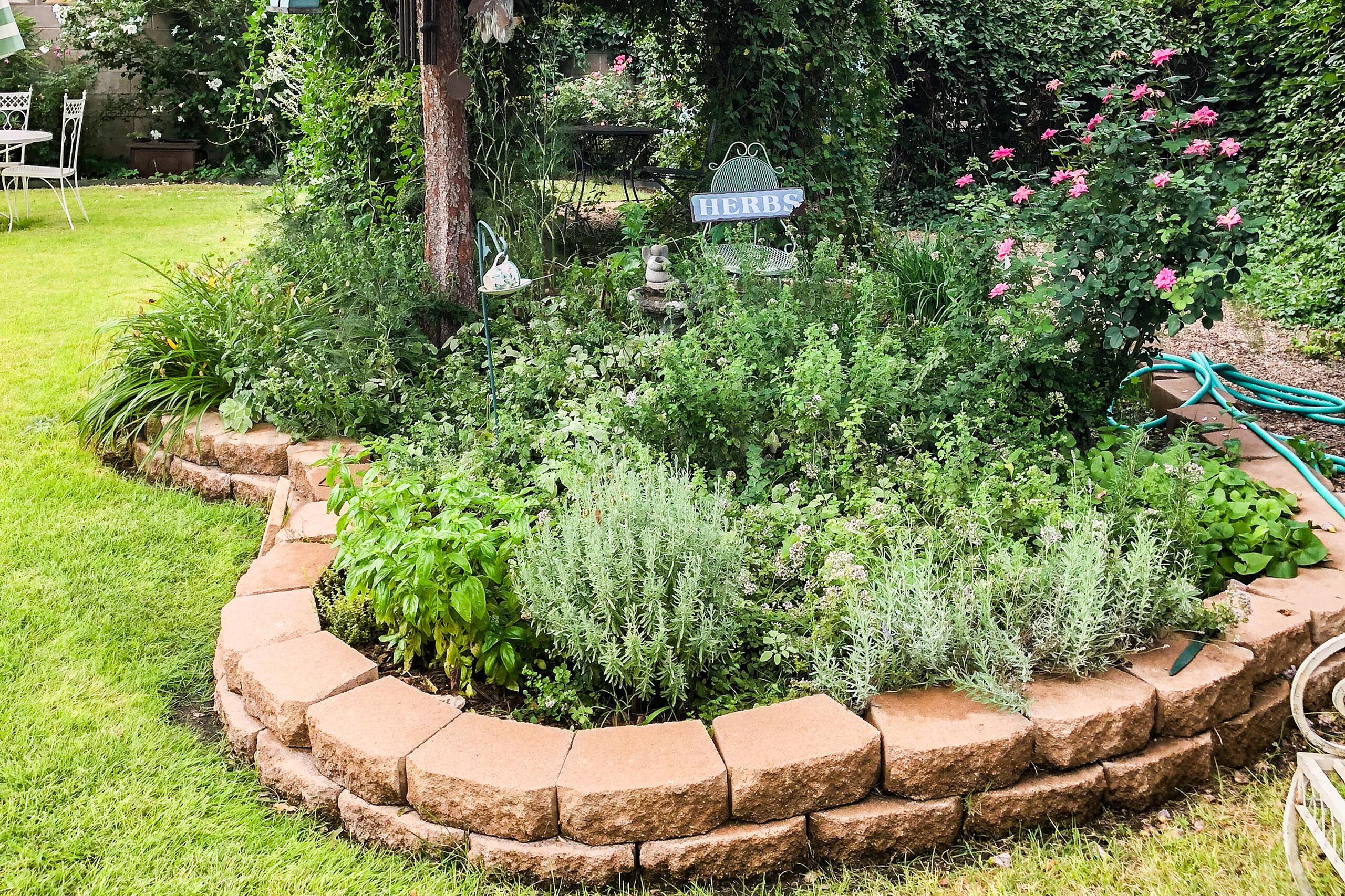 1007 Ave P Sunray, TX 79086 - Photo 41 of 42 Summer Garden