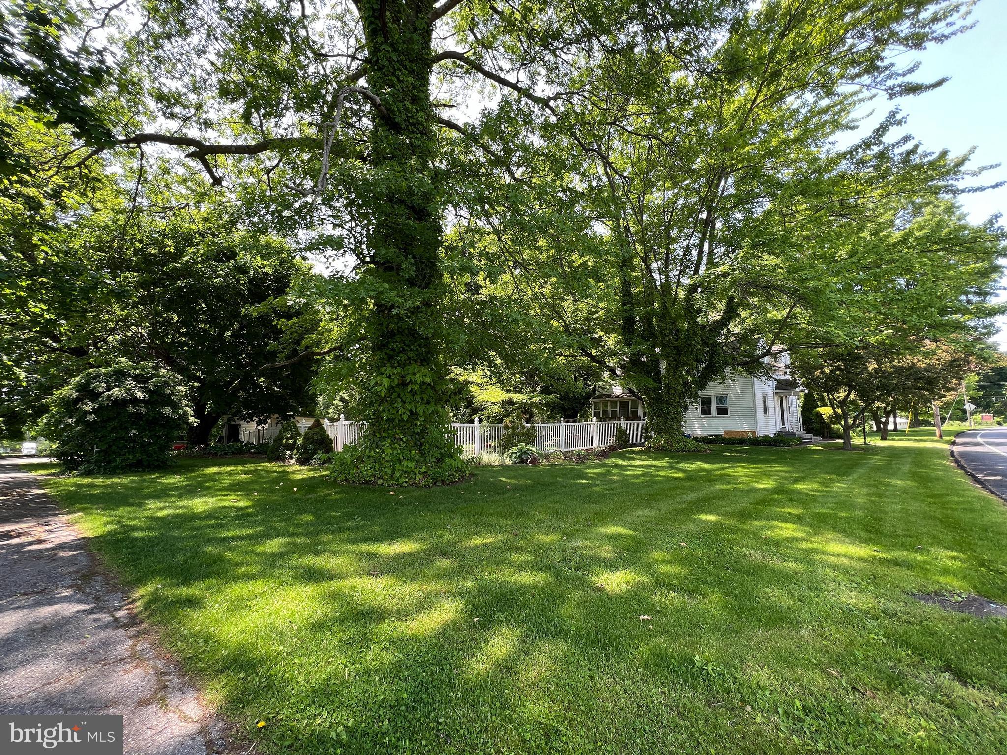 357 Blooming Grove Road Hanover, PA 17331 - Photo 34 of 39 a view of a trees in a yard