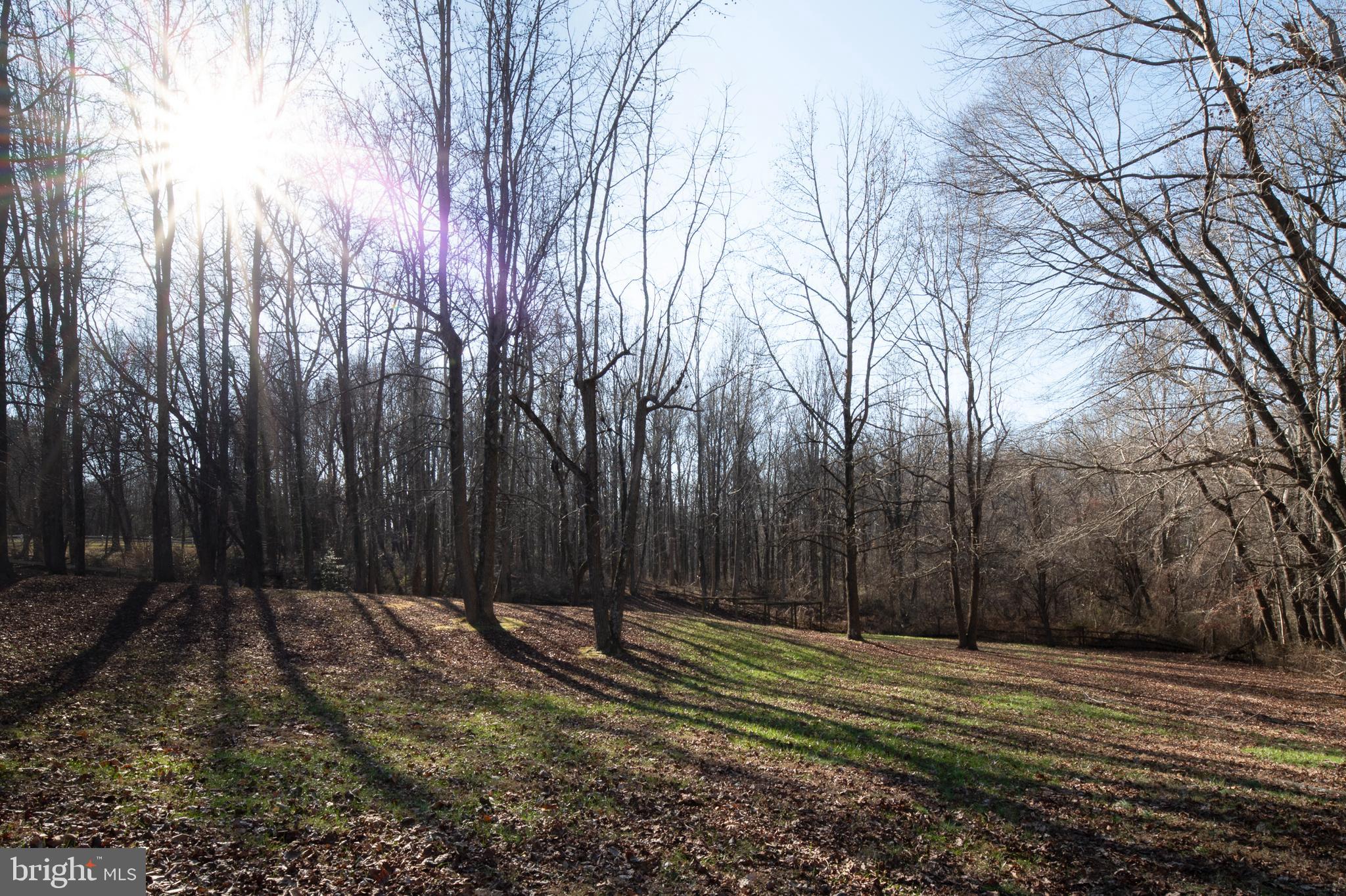 1152 Bacon Ridge Road Crownsville, MD 21032 - Photo 54 of 71 Backyard (alt view)