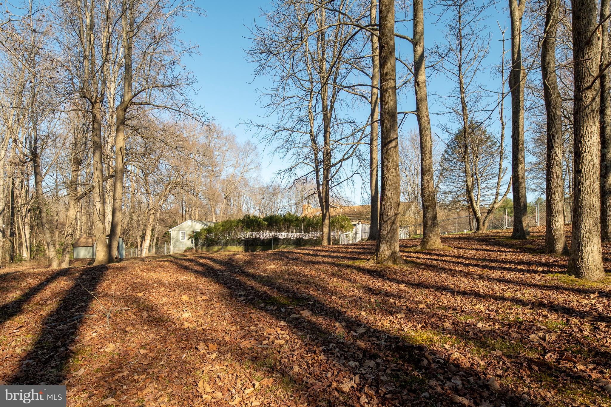 1152 Bacon Ridge Road Crownsville, MD 21032 - Photo 57 of 71 Backyard to Exterior Back