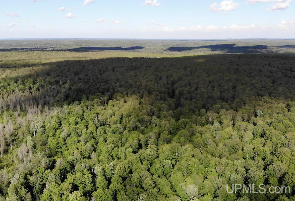 Tbd1 Cut Across Road Michigamme, MI 49861 - Photo 6 of 15
