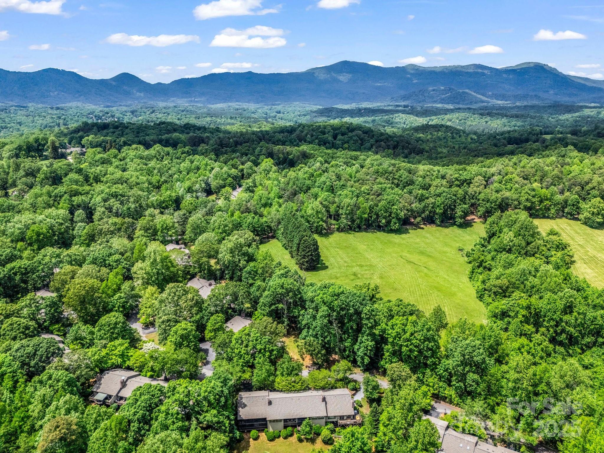 26 Hunting Country Trail, Unit 26 Tryon, NC 28782 - Photo 36 of 46