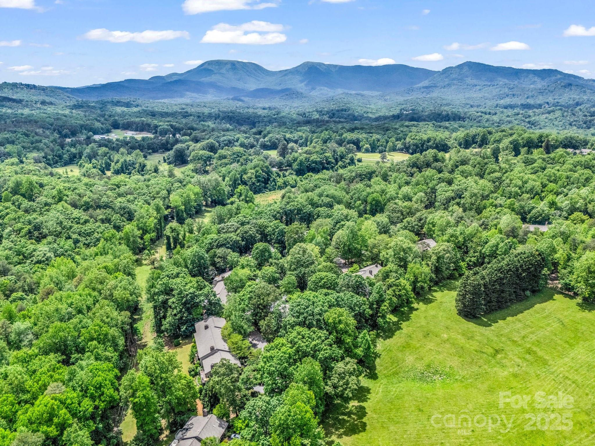 26 Hunting Country Trail, Unit 26 Tryon, NC 28782 - Photo 38 of 46
