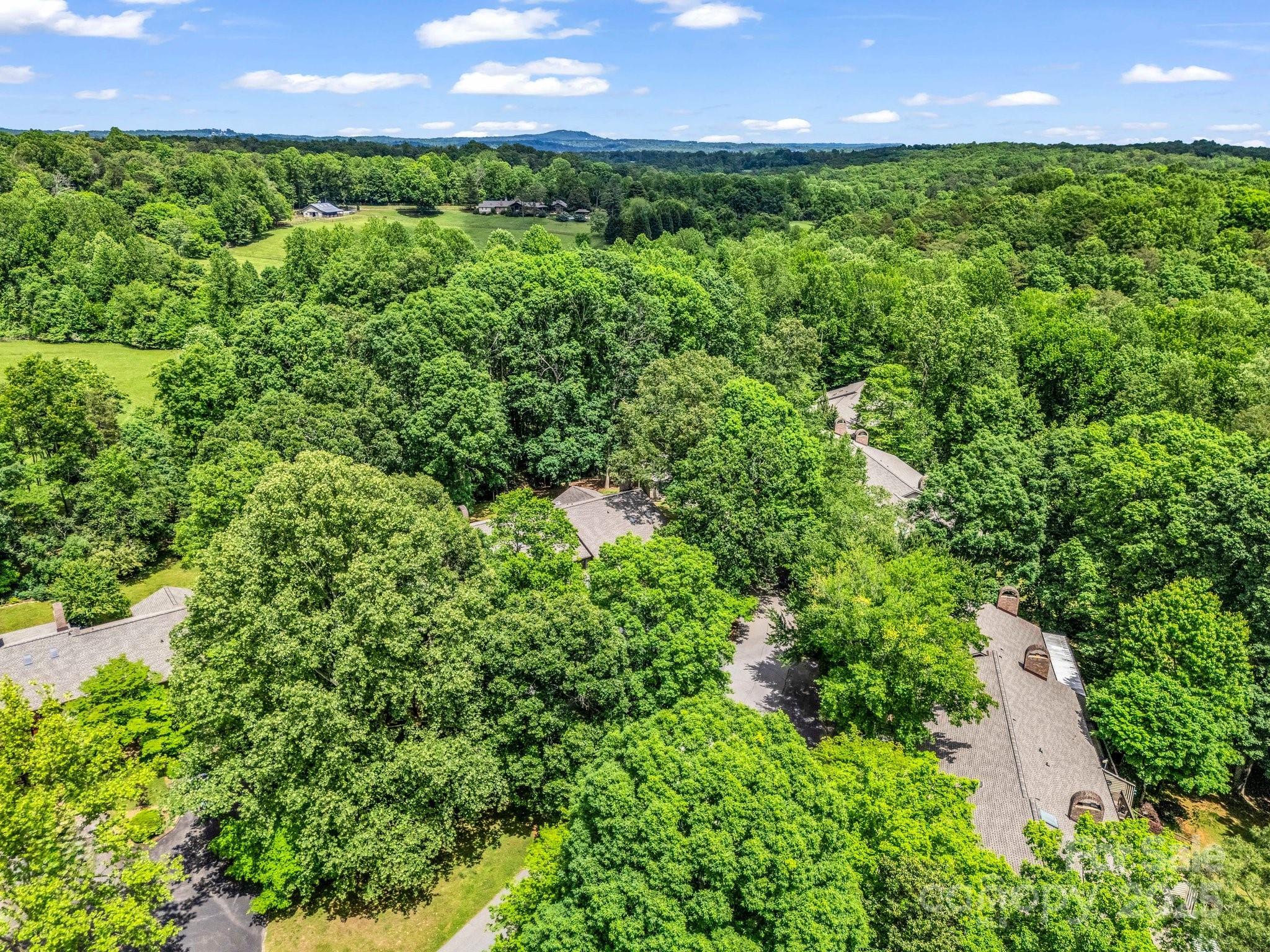 26 Hunting Country Trail, Unit 26 Tryon, NC 28782 - Photo 43 of 46