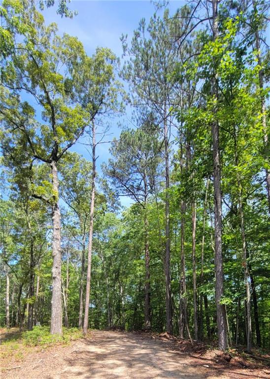 64 Beacon Place Dallas, GA 30132 - Photo 2 of 7 a view of a street with a tree