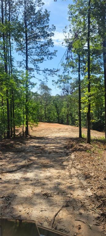 64 Beacon Place Dallas, GA 30132 - Photo 3 of 7 a view of a yard with plants