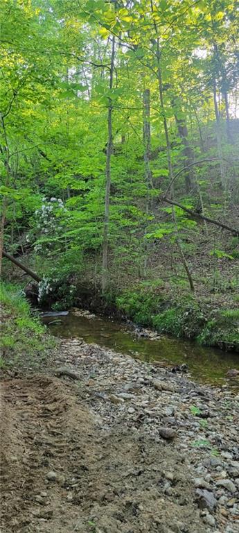 64 Beacon Place Dallas, GA 30132 - Photo 6 of 7 a view of a yard with plants