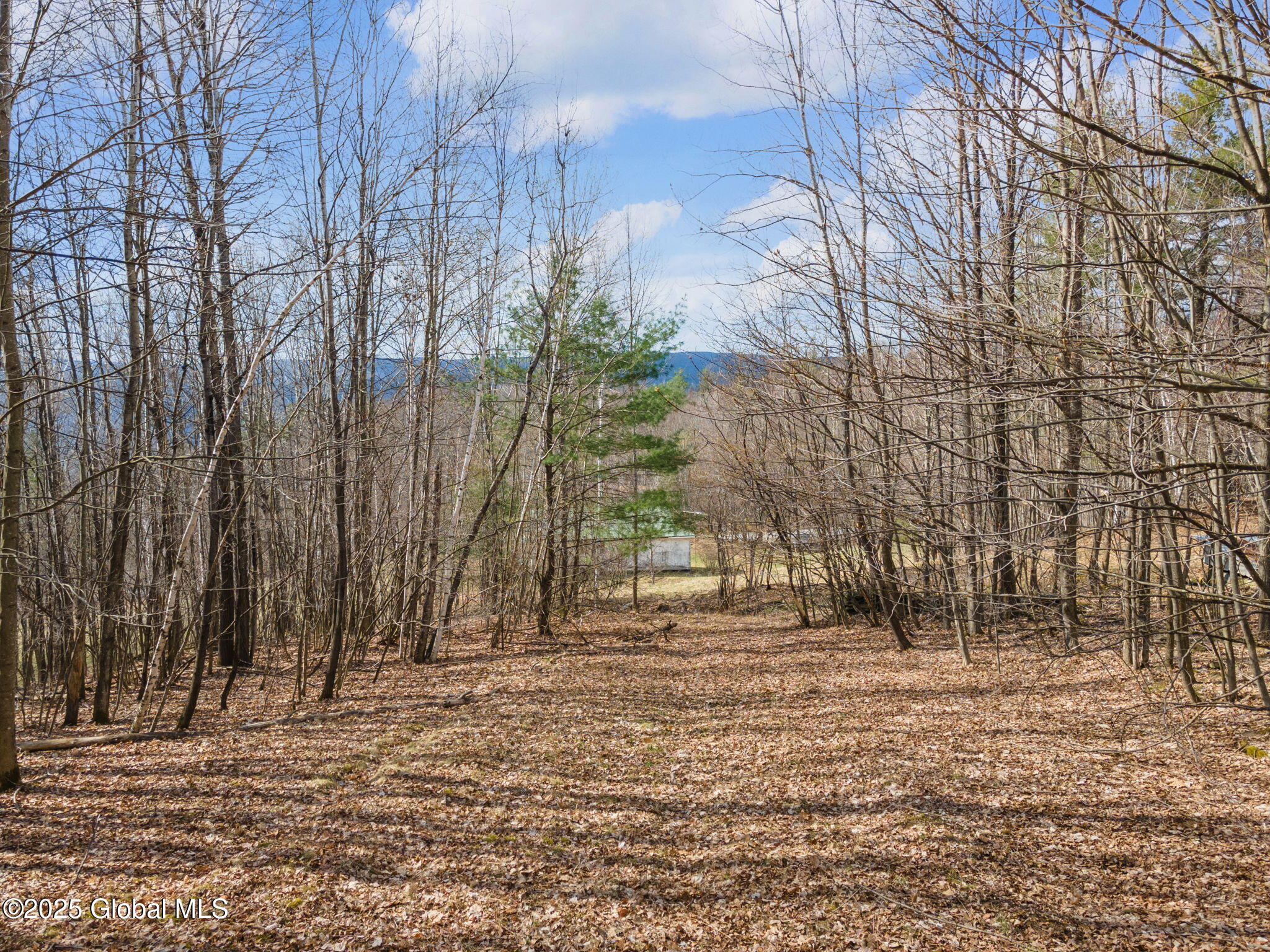 394 Armlin Hill Road Fulton, NY 12122 - Photo 16 of 26 39-394ArmlinHillRd_39
