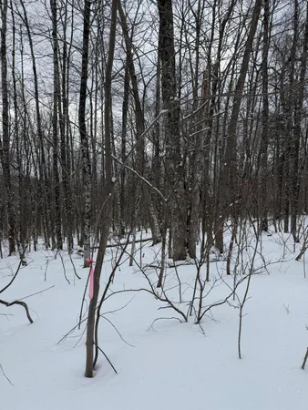 $84,900 | 5-001-7 Nelson Road, Oakfield, ME 04763