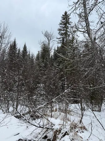 $84,900 | 5-001-7 Nelson Road, Oakfield, ME 04763