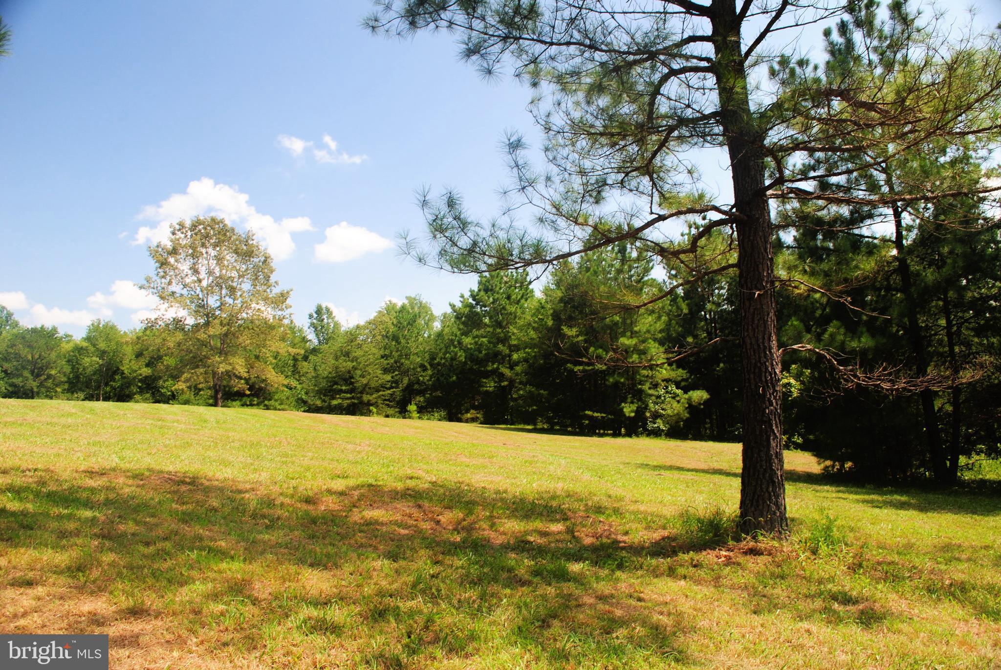 4044 Byrd Mill Road Louisa, VA 23093 - Photo 14 of 19 Gallery Image 14