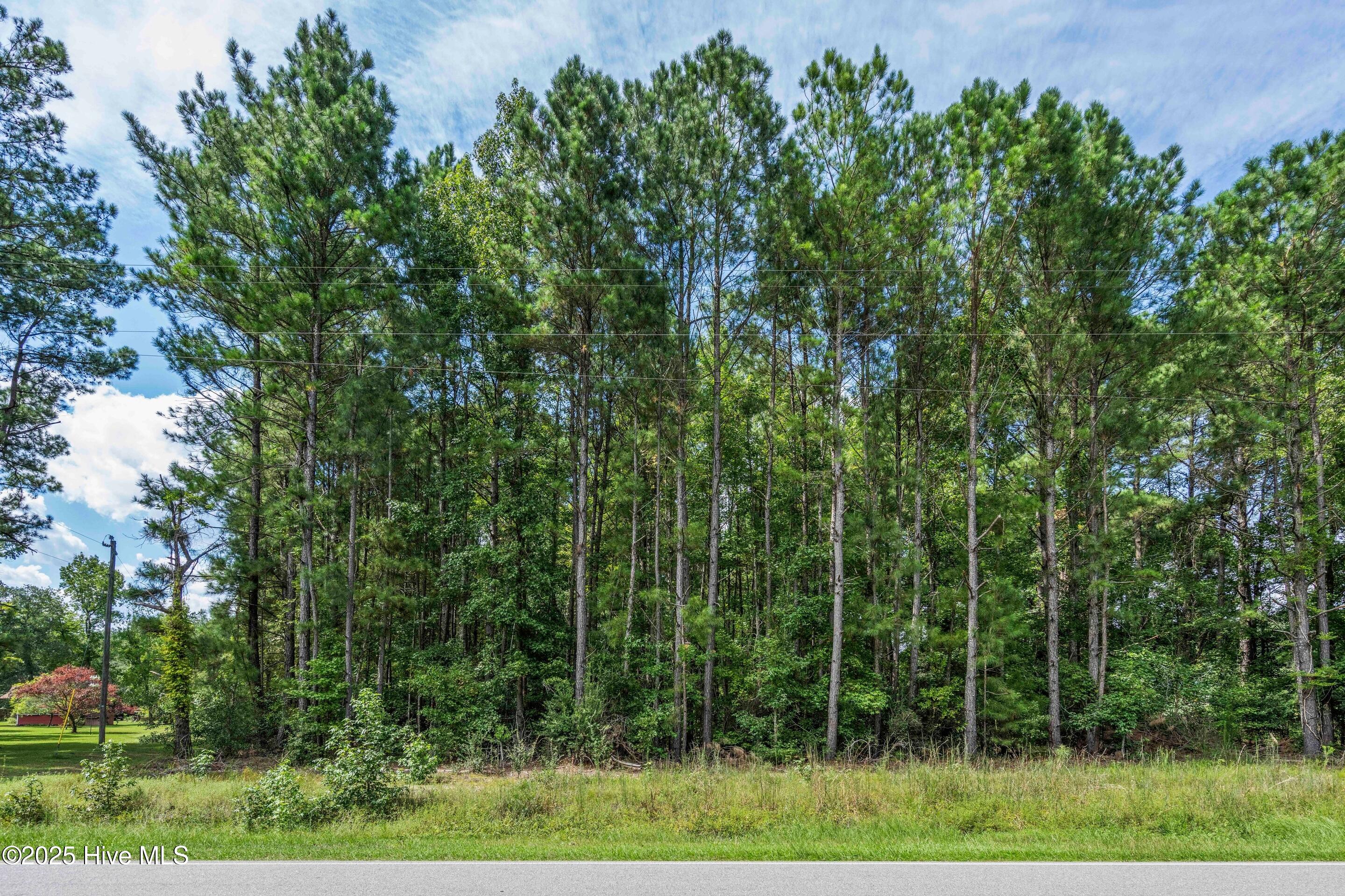 3.6-ac Ivanhoe Road Atkinson, NC 28421 - Photo 8 of 13 Street View