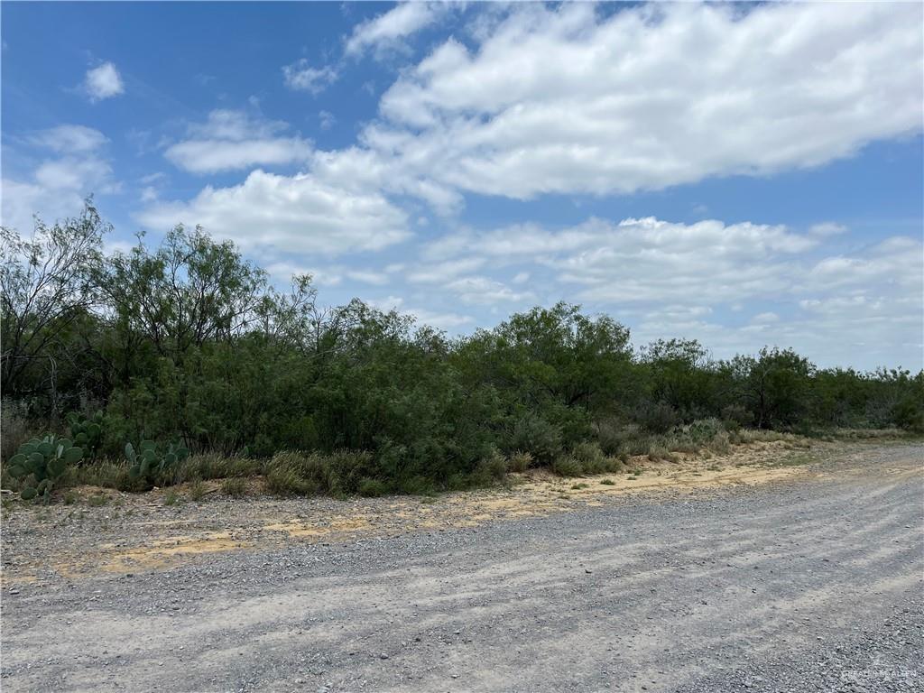 319 Pelican Street Zapata, TX 78076 - Photo 3 of 5