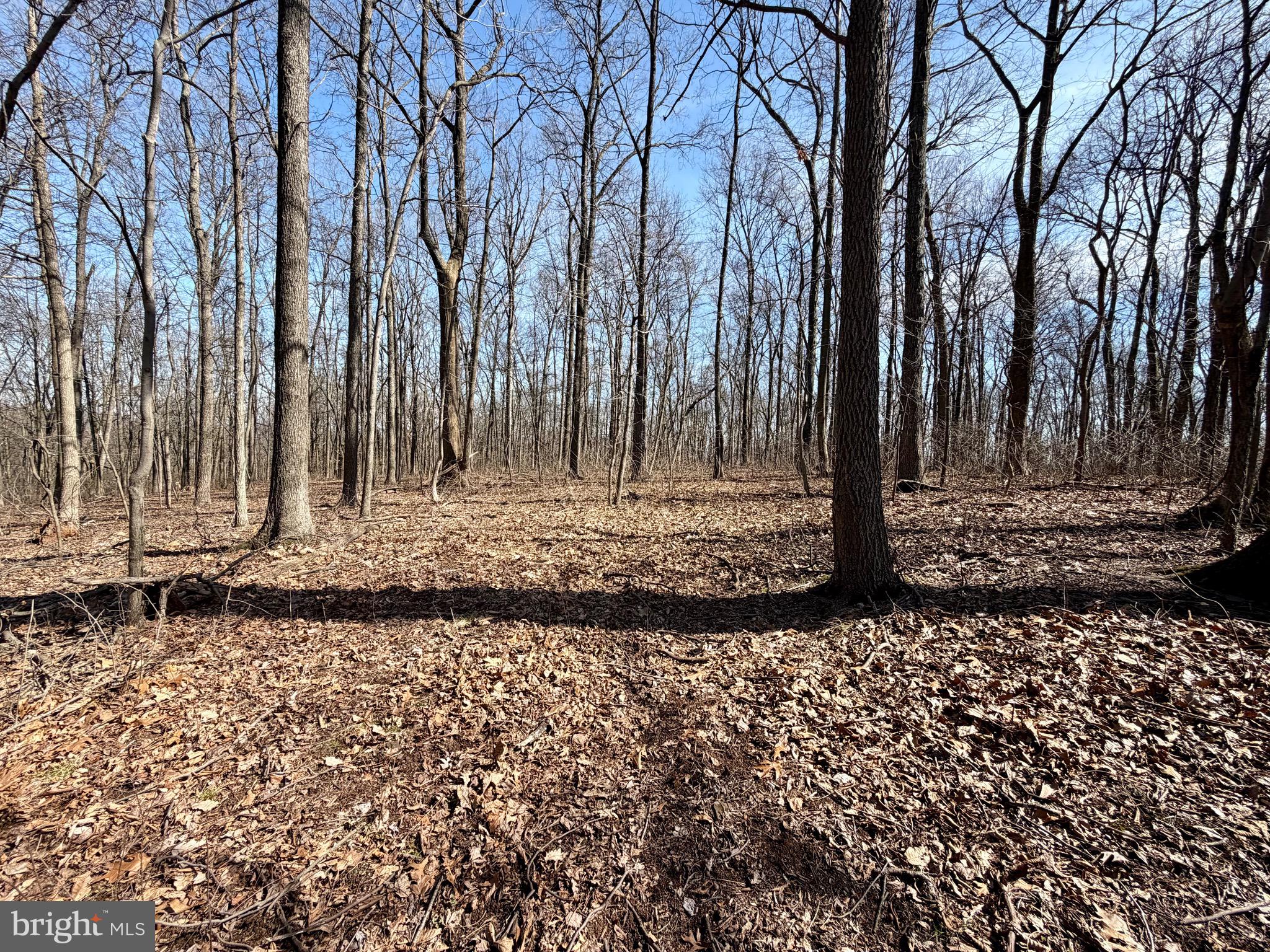 0 Crone Road Dover, PA 17315 - Photo 2 of 8