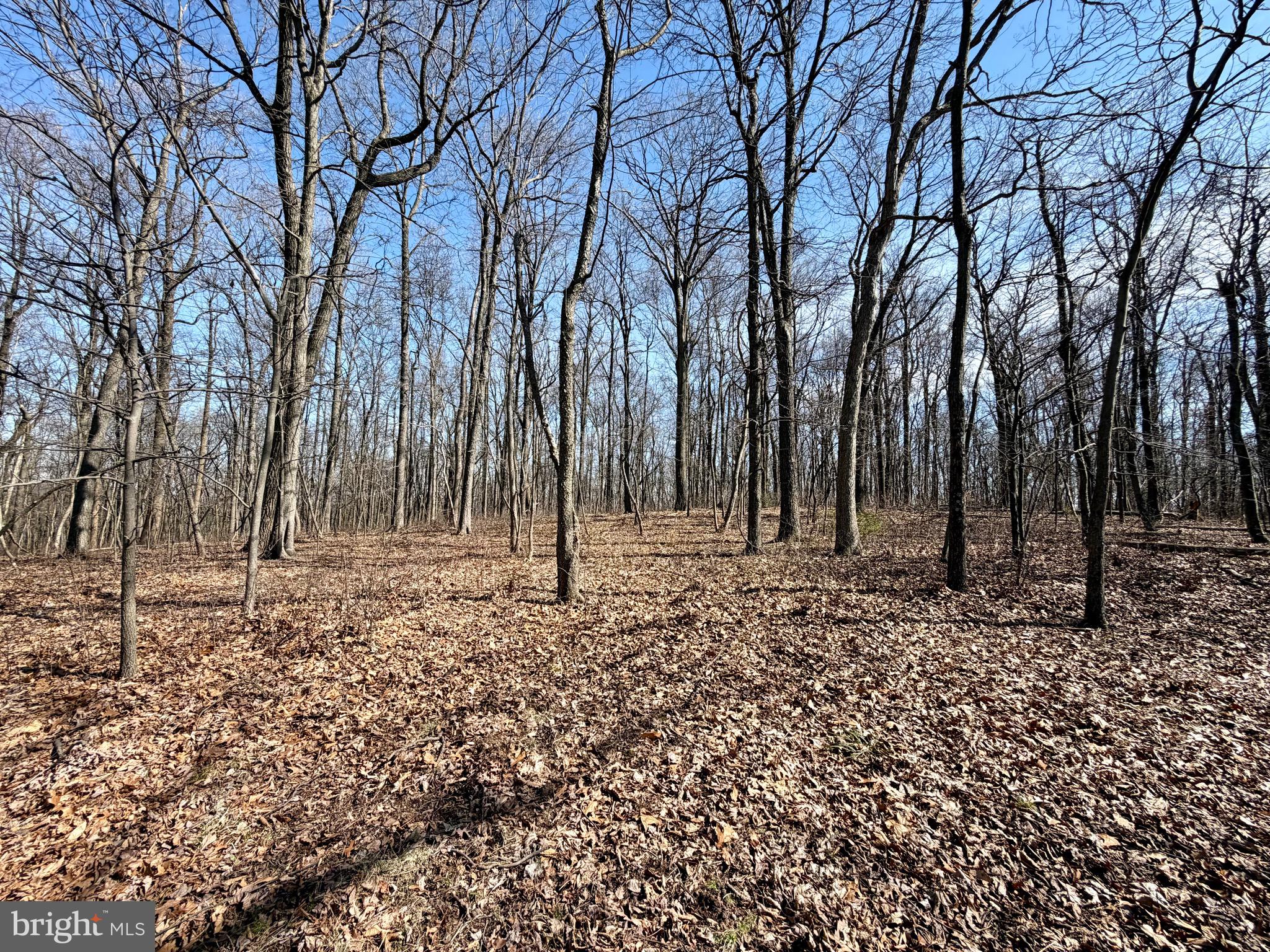 0 Crone Road Dover, PA 17315 - Photo 3 of 8