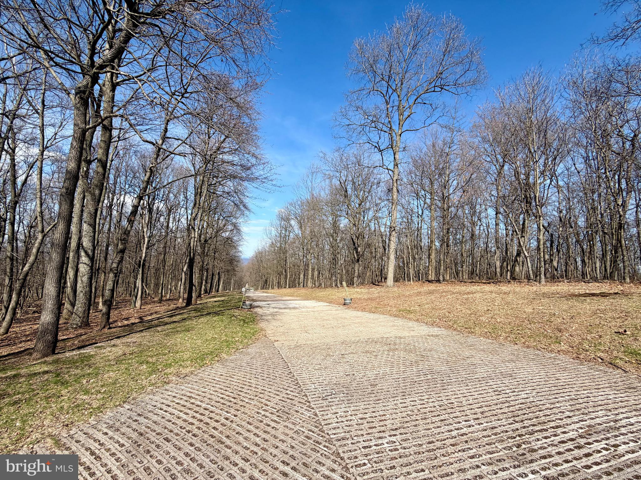 0 Crone Road Dover, PA 17315 - Photo 5 of 8 Driveway