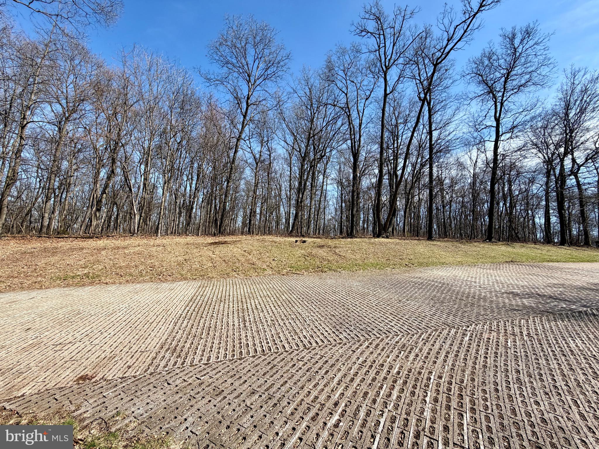 0 Crone Road Dover, PA 17315 - Photo 6 of 8 View of Subject Property from Driveway