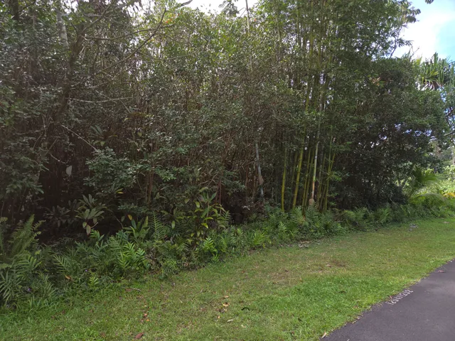 $29,000 | 15-2782 Lot 1292 Moi Street, Pahoa, HI 96778