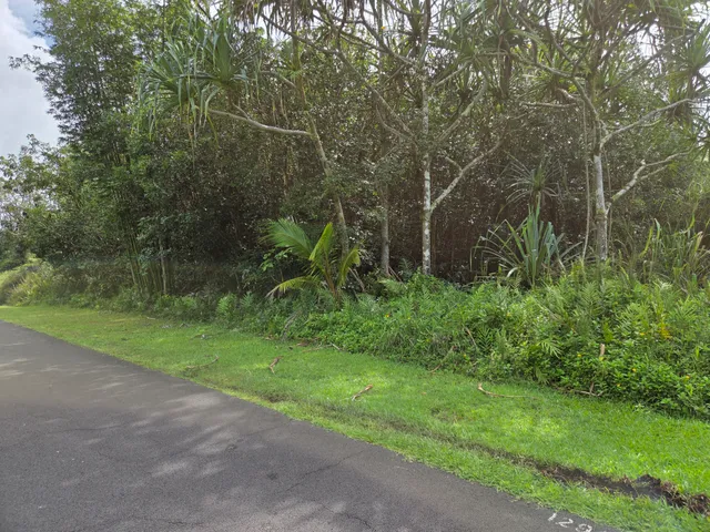 $29,000 | 15-2782 Lot 1292 Moi Street, Pahoa, HI 96778